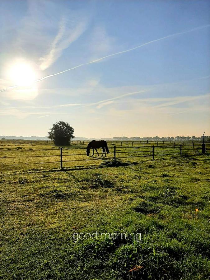 'T Wolthoes Vlagtwedde Exterior photo